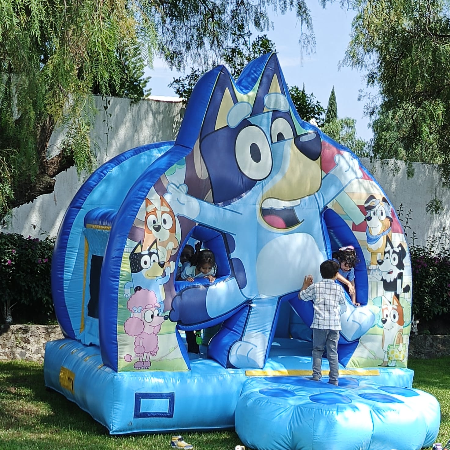 Bluey